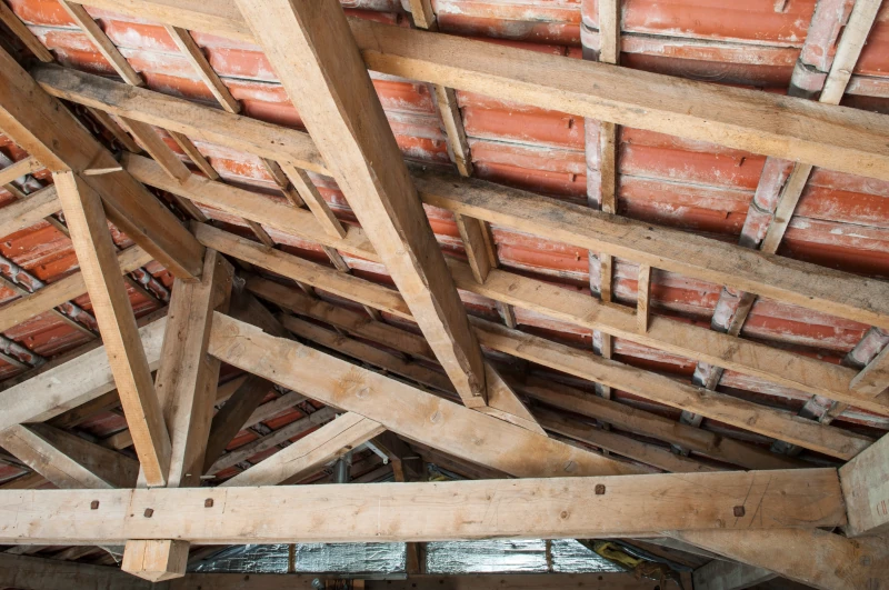 traitement charpente